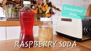 Making FERMENTED RASPBERRY SODA | Fermented Soda Series