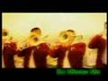 Valentin Elizalde - Lobo Domesticado Remix DJ Alfonso