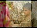 videos de India November 2008