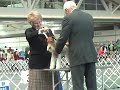 Pgh Dog Show 2008