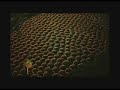 YANN ARTHUS-BERTRAND \"Etre photographe\"