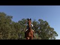 Jumping Cross Country Windsurf Pony Club