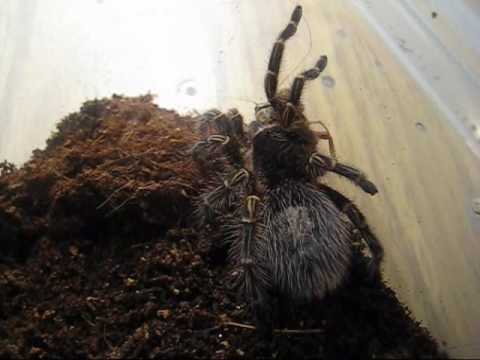 feeding time - Another feeding video - hope you enjoy!