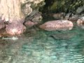 PRAIA-A-MARE, CALABRIA, PROVINCIA DI CONSENZA, ITALIA by Antonietta Gugliotta