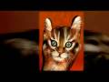 videos de Painted Hands