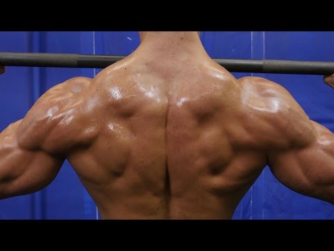 Back