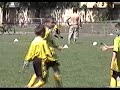 D�li Arp� forr� pillanatok