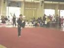 Montfort Wushu Team