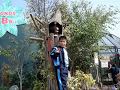 videos de jimmy campeon mlk