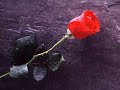 Vasile Micula - Doamne esti amea iubire Vasile Micula - Doamne esti amea iubire