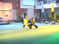 Silat Show Part 3 - Tempur