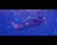 THE TRALALA'S - DROWNED IN LOVE