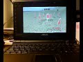 Asus Eee PC running Rome Total War Asus Eee PC running Rome Total War
