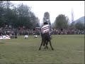 cueca a caballo
