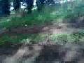 videos de Me Doing A  Burnout.mp4