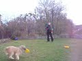 Vigo the backyard frisbee champion Vigo the backyard frisbee champion