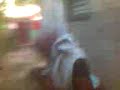 bulu bulu loco