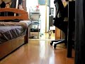 Stalking Kitty