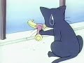 Sailor Moon episode 28 Jap part 1