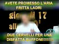 DUE CERVELLI DI SEGATURA