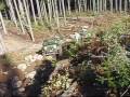 Video screenshot