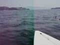 レーザー牛窓セーリング！！Laser Sailing!　Plain White T's