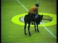 Donkey Basketball Donkey Basketball