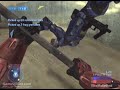 The Halo God