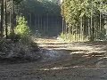 japanese_mini_car_dirt_racing