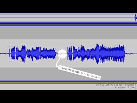how to remove effects in audacity