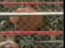 Triple H tribute Triple H tribute