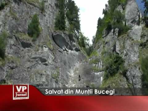 Salvat din Munţii Bucegi