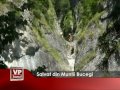 Salvat din Munţii Bucegi