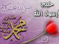 هل عندك مصيبة ؟ إذا ادخل هنا ستجد الحل ؟!