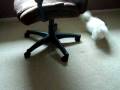 Picture 021.MOV