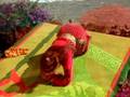 videos de Lizard Pose