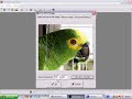 Vídeo Aula de Ascii Vídeo Aula de Ascii