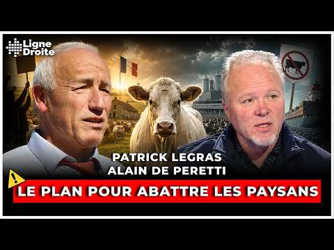Image de prévisualisation YouTube