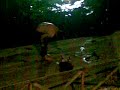 Bagno di Onorio nel fiume Liri durante serata musicale