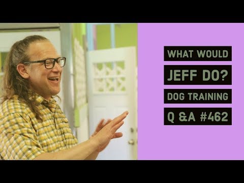 Training a fearful dog | Using a Bark Collar | What Would Jeff Do? Dog Training Q & A #462