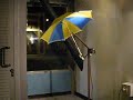 umbrella study