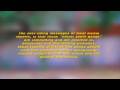2day 2morrow African Youth - The Facts... The Fiction