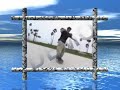 Rodney Mullen And Tony Hawk skating