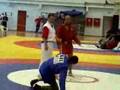 European Union Sambo Championship