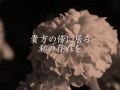 �ޥ꡼�������:YouTube������=1��