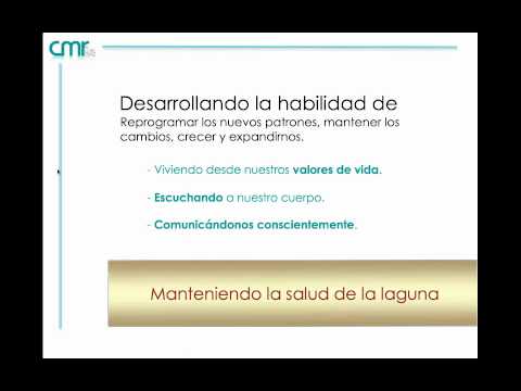 Imagen de previsualización de YouTube