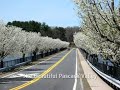 The Pascack Valley