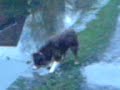 tyse an benji