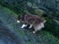 tyse an benji