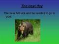 How the Koala got its Fur